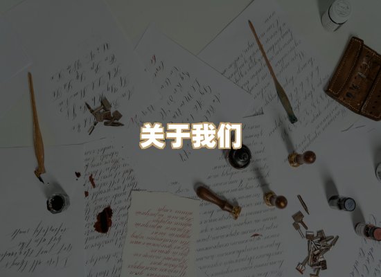关于天岚学历排版网